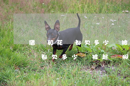 借唄和花唄都欠多少會被起訴啊-借唄和花唄都欠多少會被起訴啊法院