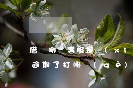 借唄哪種客服是協(xié)商逾期的(借唄逾期了打哪個(gè)電話(huà)協(xié)商)
