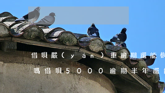 借唄嚴(yán)重逾期還能恢復(fù)嗎（借唄5000逾期半年還能恢復(fù)嗎）