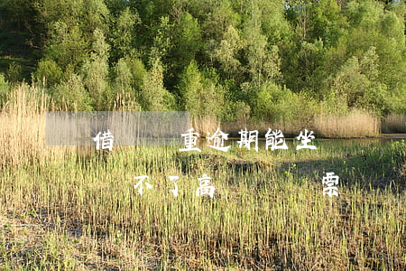 借唄嚴重逾期能坐飛機嗎(借唄,花唄逾期多久買不了高鐵,飛機票)