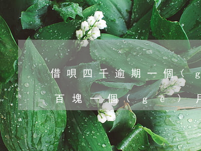 借唄四千逾期一個(gè)月-借唄逾期幾百塊一個(gè)月