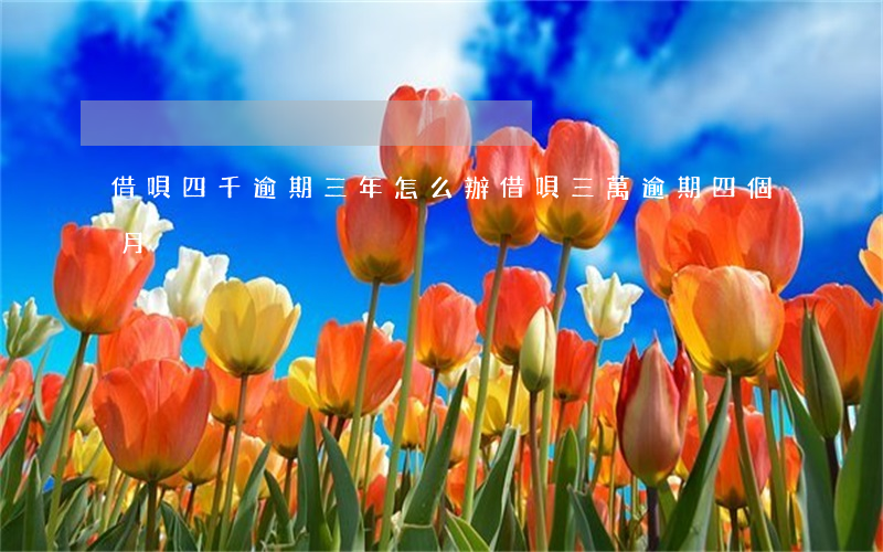 借唄四千逾期三年怎么辦(借唄三萬逾期四個月)