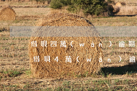 借唄四萬(wàn)逾期一個(gè)月了(借唄4萬(wàn)逾期一個(gè)月會(huì)怎么樣了)
