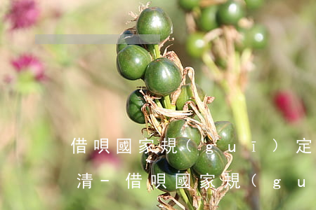 借唄國家規(guī)定逾期多久一次性還清-借唄國家規(guī)定逾期多久一次性還清