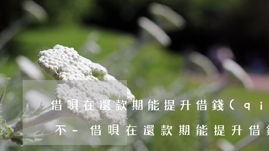 借唄在還款期能提升借錢(qián)額度不-借唄在還款期能提升借錢(qián)額度不