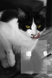 借唄多少分才算逾期(借唄多少分才有)