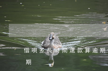 借唄多長時間還款算逾期(借唄幾天還款算逾期)