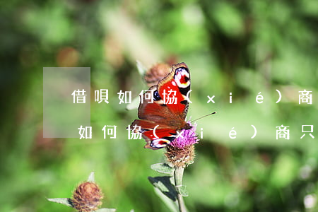 借唄如何協(xié)商只還本金(花唄借唄如何協(xié)商只還本金)