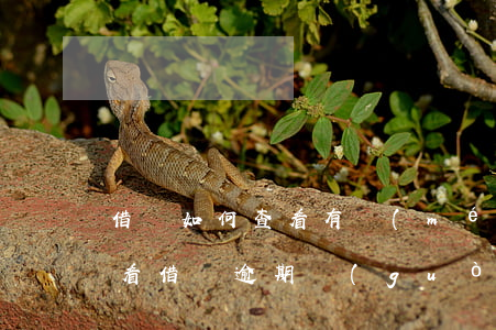 借唄如何查看有沒(méi)有逾期(如何查看借唄逾期過(guò)沒(méi)有)