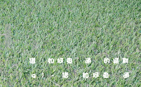 借唄如何查詢通過的延期還款申請(qǐng)-借唄如何查詢通過的延期還款申請(qǐng)記錄