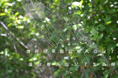 借唄如果還款那天忘記了怎么辦-借唄如果還款那天忘記了怎么辦呢