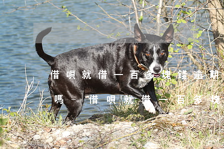 借唄就借一百多塊錢逾期了嚴(yán)重嗎-借唄就借一百多塊錢逾期了嚴(yán)重嗎怎么辦