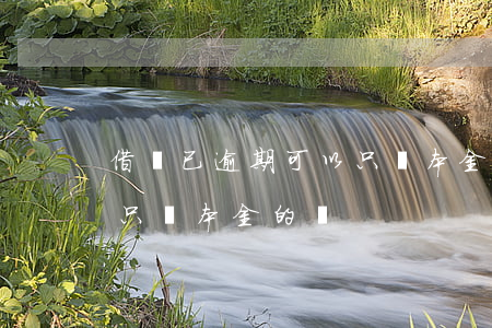 借唄已逾期可以只還本金嗎(借唄逾期了可以只還本金的嗎)
