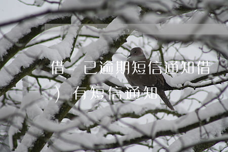 借唄已逾期短信通知(借唄借款有沒(méi)有短信通知)