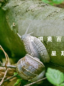 借唄幾百塊逾期有影響嗎(借唄逾期一個(gè)星期嚴(yán)重嗎)