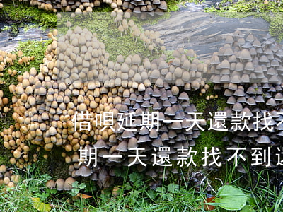 借唄延期一天還款找不到還款通道-借唄延期一天還款找不到還款通道怎么辦