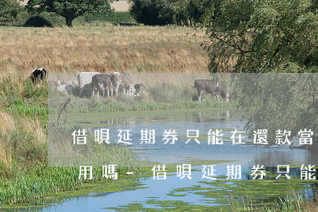 借唄延期券只能在還款當(dāng)天使用嗎-借唄延期券只能在還款當(dāng)天使用嗎安全嗎