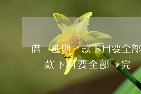 借唄延期還款下月要全部還完嗎-借唄延期還款下月要全部還完嗎怎么辦