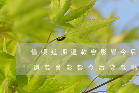 借唄延期還款會影響今后貸款嗎-借唄延期還款會影響今后貸款嗎知乎