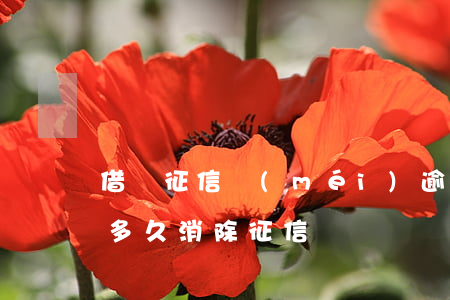 借唄征信沒(méi)逾期年消除 借唄逾期多久消除征信