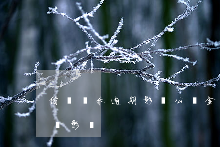 借唄從未逾期影響公積金嗎(借唄不逾期會不會影響)