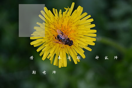 借唄從未逾期為什么降額(借唄為什么沒有逾期也降額)