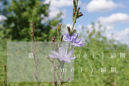 借唄從沒(méi)逾期過(guò)(借唄從沒(méi)逾期過(guò),上征信的記錄大不大)