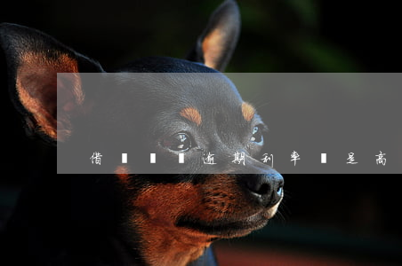 借唄從沒逾期利率還是高