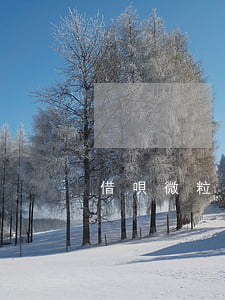 借唄微粒貸京東全部逾期(微粒貸還借唄)