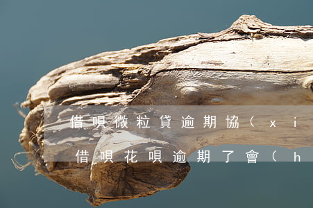 借唄微粒貸逾期協(xié)商還款(微粒貸借唄花唄逾期了會(huì)怎樣)
