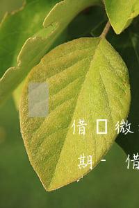 借唄微粒貸逾期后協(xié)商可以還幾期-借唄微粒貸逾期不還會怎么樣