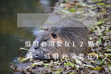 借唄必須要在12點(diǎn)以前還款嘛-借唄必須要在12點(diǎn)以前還款嘛為什么