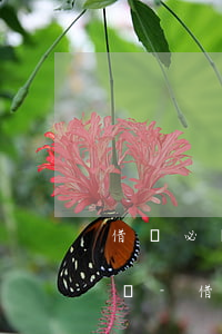 借唄必須要在中午12點(diǎn)還款嗎-借唄必須要在中午12點(diǎn)還款嗎為什么