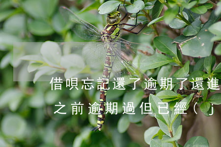 借唄忘記還了逾期了還進(jìn)去(借唄之前逾期過,但已經(jīng)還清了,還能借嗎?)