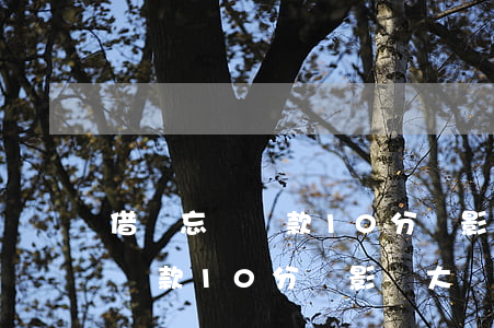 借唄忘記還款10分鐘影響大嗎-借唄忘記還款10分鐘影響大嗎怎么辦
