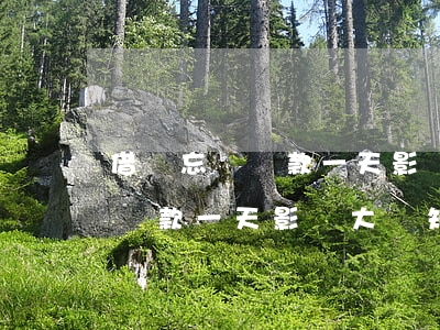 借唄忘記還款一天影響大嗎知乎-借唄忘記還款一天影響大嗎知乎