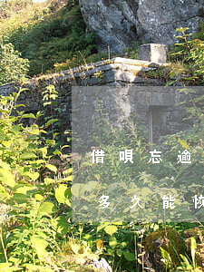 借唄忘逾期多久恢復(fù)額度(借唄逾期多久能恢復(fù)正常)