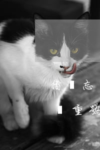 借唄忘還了逾期一個月(借唄逾期一個月后果嚴重嘛)