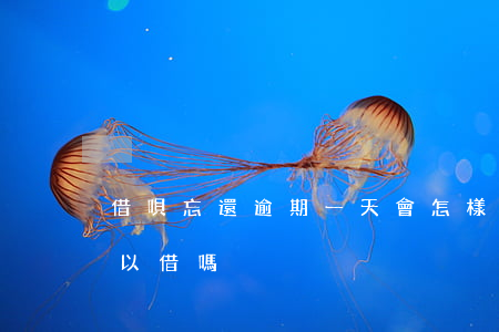 借唄忘還逾期一天會怎樣(借唄逾期1天還可以借嗎)