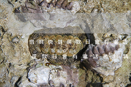 借唄快到還款日會有電話通知嗎-借唄快到還款日會有電話通知嗎怎么辦