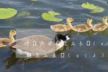 借唄快逾期怎么去協(xié)商 借唄快逾期怎么去協(xié)商分期