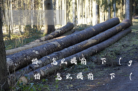 借唄怎么提前還下個(gè)月最低還款-借唄怎么提前還下個(gè)月最低還款呢