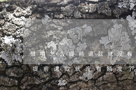 借唄怎么提前還款就沒有額度了-借唄怎么提前還款就沒有額度了呢