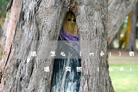 借唄怎么沒(méi)有了先息后本還款了-借唄突然沒(méi)有了先息后本