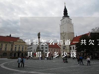 借唄怎么知道一共欠了多少(怎么查看借唄總共借了多少錢)