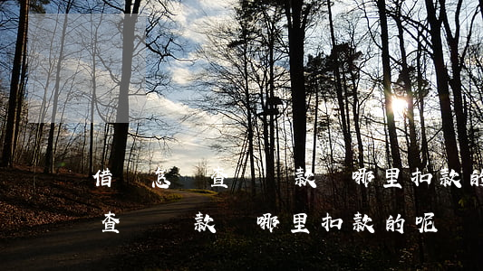 借唄怎樣查詢還款從哪里扣款的-借唄怎樣查詢還款從哪里扣款的呢