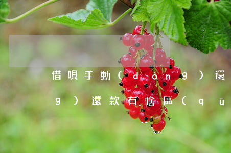 借唄手動(dòng)還款跟自動(dòng)還款有啥區(qū)別-借唄手動(dòng)還款跟自動(dòng)還款有啥區(qū)別嗎