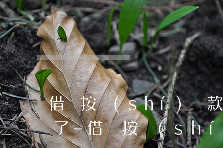 借唄按時(shí)還款后為什么額度降低了-借唄按時(shí)還款后為什么額度降低了呢