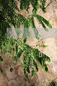 借唄按時(shí)還款怎么突然沒(méi)有額度了-借唄按時(shí)還款怎么突然沒(méi)有額度了呢