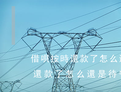 借唄按時還款了怎么還是待守約-借唄按時還款了怎么還是待守約還款